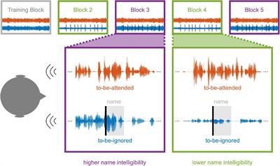Are They Calling My Name? Attention Capture Is Reflected in the Neural Tracking of Attended and Ignored Speech